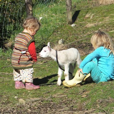 Little Paradise & Petting Farm Греймут Екстериор снимка